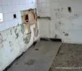 Снимка 3 — Парцел в Габрово, Севлиево
