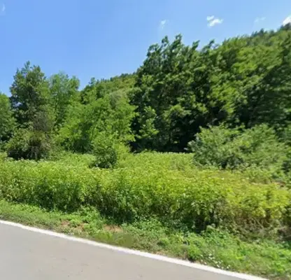 Photo 3 — Plot in Oblast Gabrovo, Belica