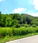Парцел в Габрово, с. Белица