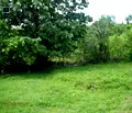 Снимка 4 — Парцел в Габрово, с. Христовци