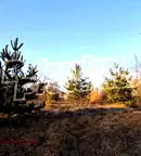 Парцел в Габрово, с. Кръвеник