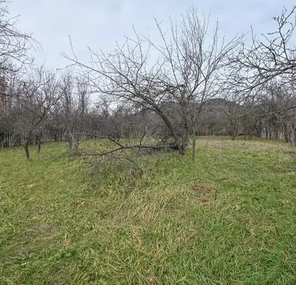 Снимка 5 — Парцел в Габрово, с. Мрахори