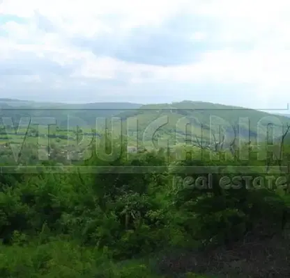 Снимка 4 — Парцел в Габрово, с. Зая