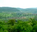 Снимка 5 — Парцел в Габрово, с. Зая