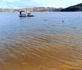 Снимка 3 — Парцел в Кърджали, с. Гняздово