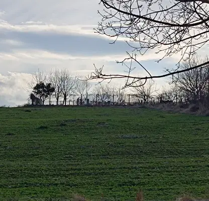 Photo 4 — Plot in Oblast Kyrdjali, с. Гняздово