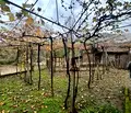 Снимка 5 — Парцел в Кюстендил, с. Драгодан