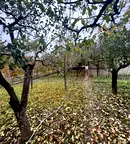 Парцел в Кюстендил, с. Драгодан