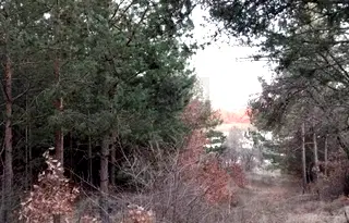 Парцел в Кюстендил, с. Кременик