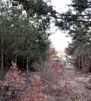 Парцел в Кюстендил, с. Кременик