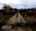 Снимка 4 — Парцел в Кюстендил, с. Стоб