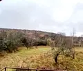 Снимка 2 — Парцел в Кюстендил, с. Тополница