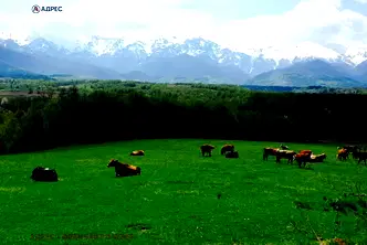 Парцел в Ловеч, Априлци