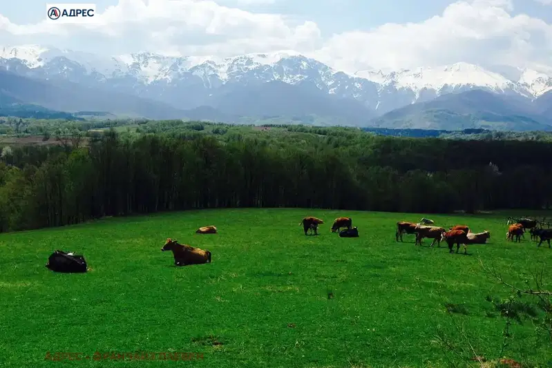 Plot in Oblast Lovech, Aprilci