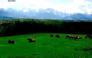 Парцел в Ловеч, Априлци