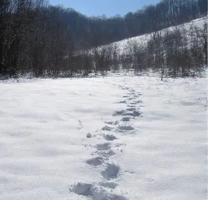 Photo 2 — Plot in Oblast Lovech, Aprilci