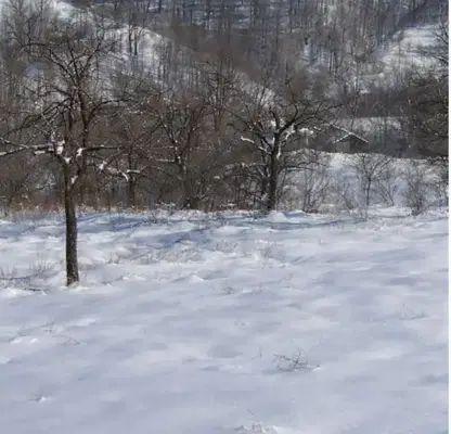 Photo 3 — Plot in Oblast Lovech, Aprilci
