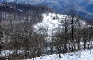 Парцел в Ловеч, Априлци