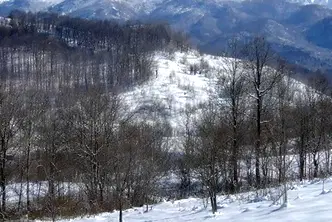 Парцел в Ловеч, Априлци