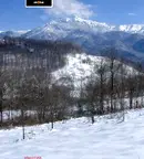Парцел в Ловеч, Априлци