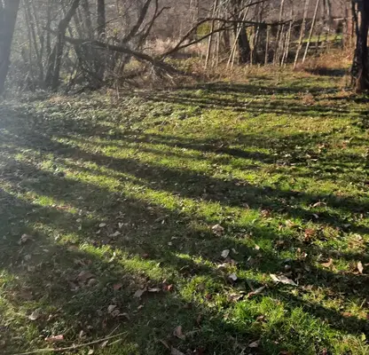 Photo 2 — Plot in Oblast Lovech, Aprilci