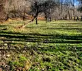 Снимка 5 — Парцел в Ловеч, Априлци