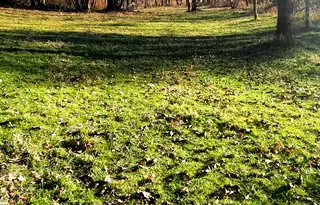 Парцел в Ловеч, Априлци