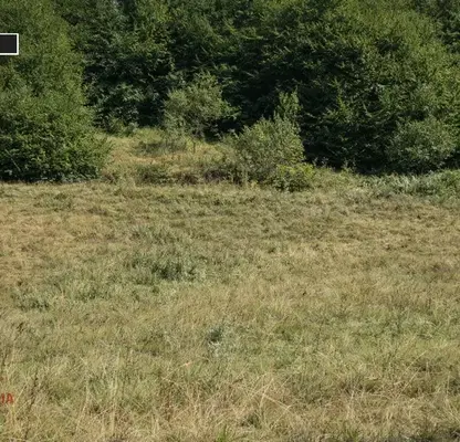 Photo 2 — Plot in Oblast Lovech, Balkanec