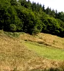 Парцел в Ловеч, с. Балканец
