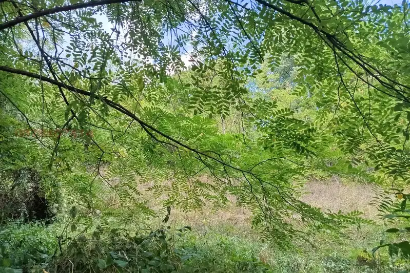 Plot in Oblast Lovech, Beli Osym
