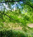 Парцел в Ловеч, с. Бели Осъм