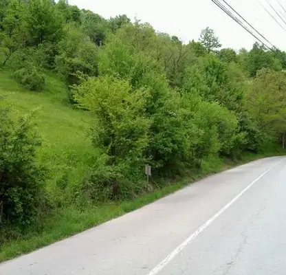 Photo 2 — Plot in Oblast Lovech, Chiflik