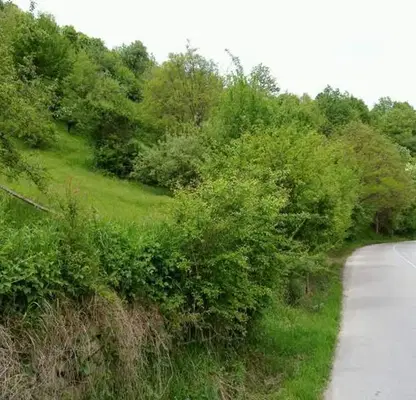 Photo 3 — Plot in Oblast Lovech, Chiflik