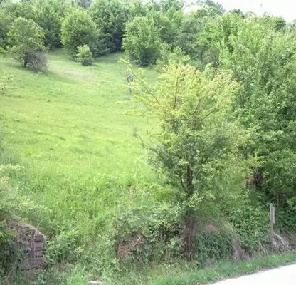 Photo 4 — Plot in Oblast Lovech, Chiflik