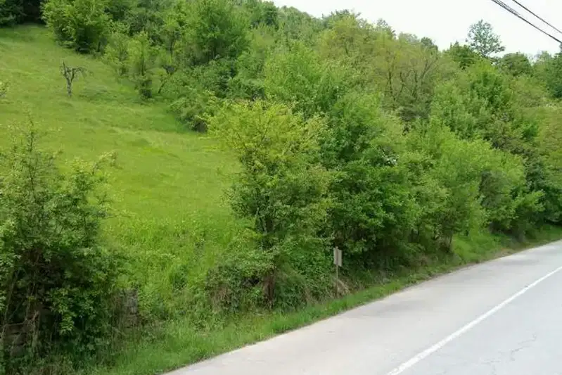 Plot in Oblast Lovech, Chiflik