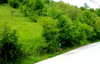 Парцел в Ловеч, с. Чифлик