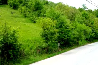 Парцел в Ловеч, с. Чифлик