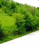 Парцел в Ловеч, с. Чифлик