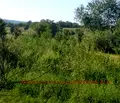 Снимка 4 — Парцел в Ловеч, с. Горан