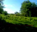 Снимка 5 — Парцел в Ловеч, с. Горан