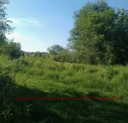 Photo 5 — Plot in Oblast Lovech, Goran