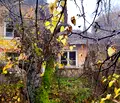 Снимка 4 — Парцел в Ловеч, с. Горско Сливово