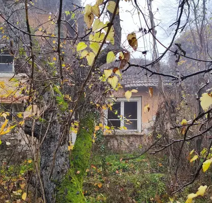 Снимка 4 — Парцел в Ловеч, с. Горско Сливово