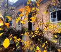 Снимка 5 — Парцел в Ловеч, с. Горско Сливово