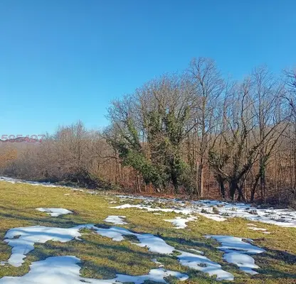 Photo 3 — Plot in Lovech, Lesidren