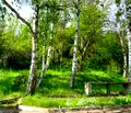 Снимка 2 — Парцел в Ловеч, с. Лисец