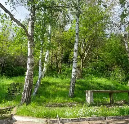 Photo 2 — Plot in Oblast Lovech, Lisec