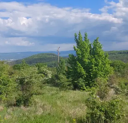 Photo 5 — Plot in Oblast Lovech, Lisec