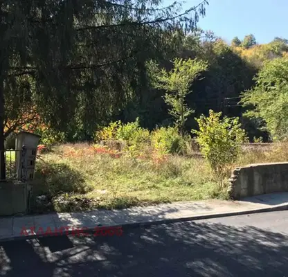 Photo 5 — Plot in Oblast Lovech, Ribarica