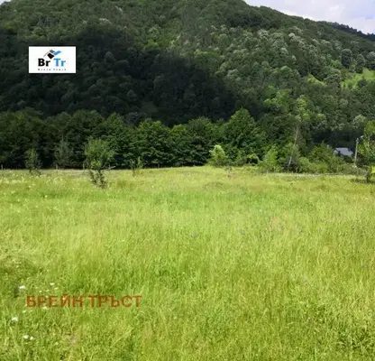 Photo 3 — Plot in Oblast Lovech, Ribarica